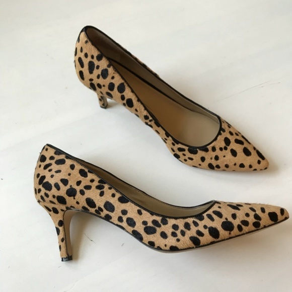 ann taylor animal print shoes